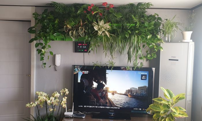 9be4e5fdb200538cdfac1aa060fc6399_1718671663_261.jpg 9be4e5fdb200538cdfac1aa060fc6399_1718671663_261.jpg