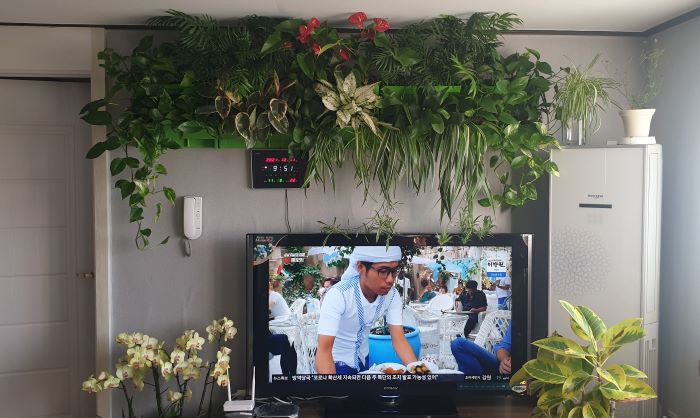 9be4e5fdb200538cdfac1aa060fc6399_1718671663_6982.jpg 9be4e5fdb200538cdfac1aa060fc6399_1718671663_6982.jpg