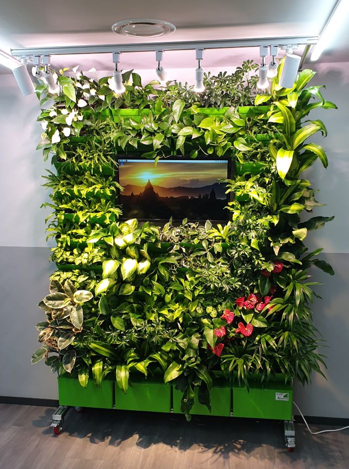 9be4e5fdb200538cdfac1aa060fc6399_1718671715_658.jpg 9be4e5fdb200538cdfac1aa060fc6399_1718671715_658.jpg