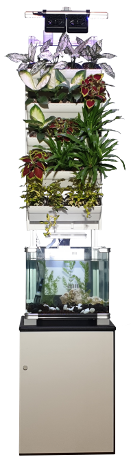 9f75d60d1dfef6c197ea1e344448dd29_1724638664_5051.png 9f75d60d1dfef6c197ea1e344448dd29_1724638664_5051.png