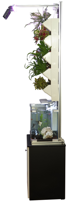 9f75d60d1dfef6c197ea1e344448dd29_1724638665_0809.png 9f75d60d1dfef6c197ea1e344448dd29_1724638665_0809.png