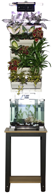 9f75d60d1dfef6c197ea1e344448dd29_1724638665_1838.png 9f75d60d1dfef6c197ea1e344448dd29_1724638665_1838.png