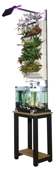 9f75d60d1dfef6c197ea1e344448dd29_1724638665_2811.png 9f75d60d1dfef6c197ea1e344448dd29_1724638665_2811.png