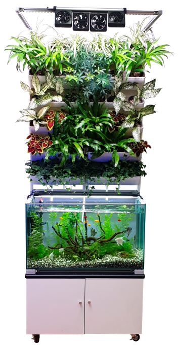 9f75d60d1dfef6c197ea1e344448dd29_1724639743_3462.png 9f75d60d1dfef6c197ea1e344448dd29_1724639743_3462.png