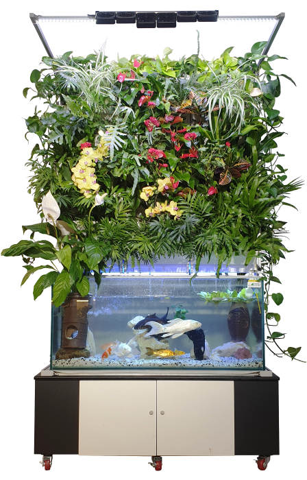 9f75d60d1dfef6c197ea1e344448dd29_1724640023_2646.png 9f75d60d1dfef6c197ea1e344448dd29_1724640023_2646.png