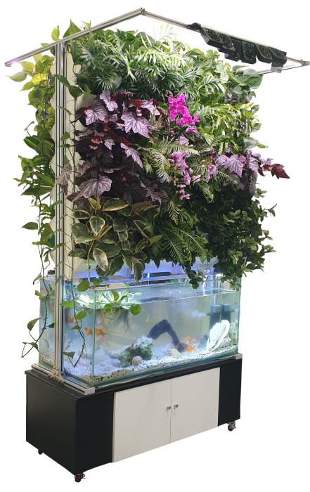 9f75d60d1dfef6c197ea1e344448dd29_1724640823_4156.png 9f75d60d1dfef6c197ea1e344448dd29_1724640823_4156.png