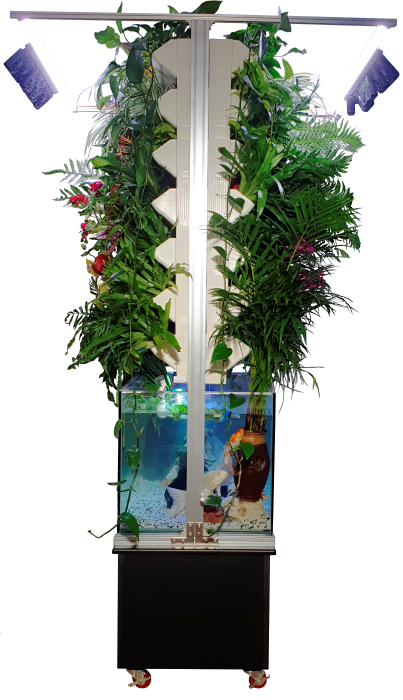 9f75d60d1dfef6c197ea1e344448dd29_1724640823_6397.png 9f75d60d1dfef6c197ea1e344448dd29_1724640823_6397.png