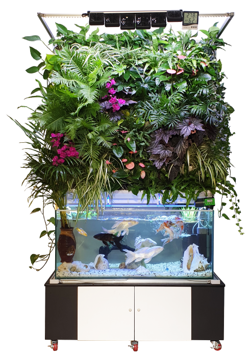 9f75d60d1dfef6c197ea1e344448dd29_1724640823_8391.png 9f75d60d1dfef6c197ea1e344448dd29_1724640823_8391.png